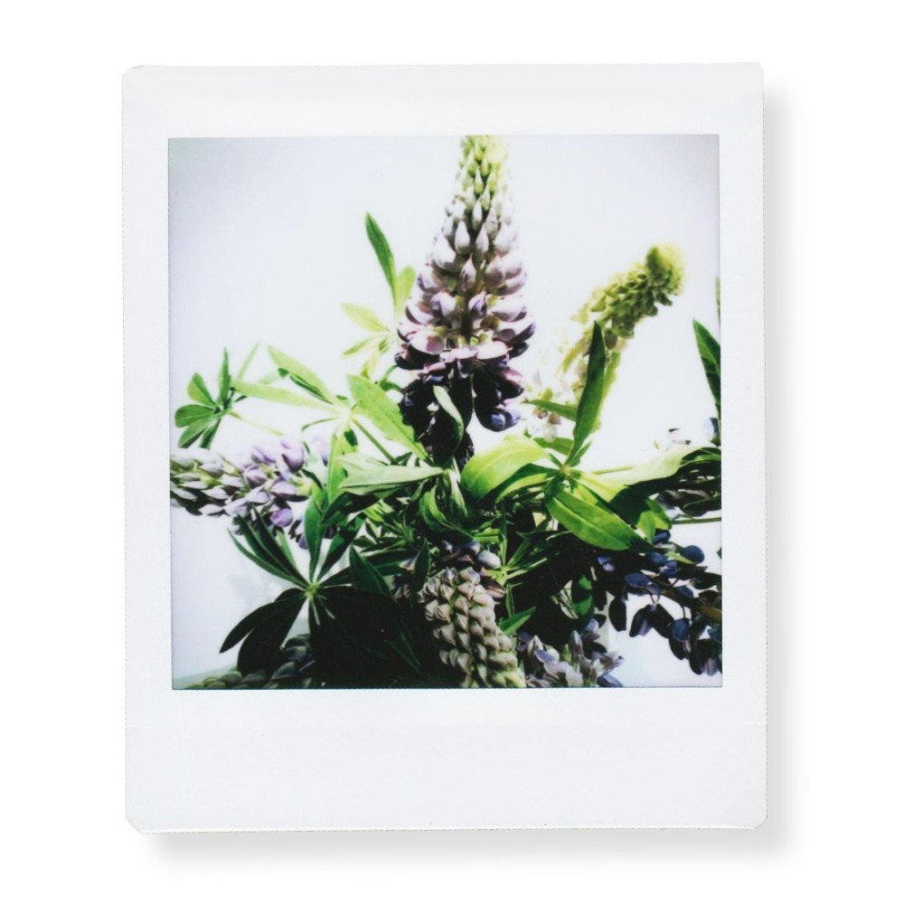 Instax Square Phim Viền Trắng  - đánh giá và giá Instant Film Pack
