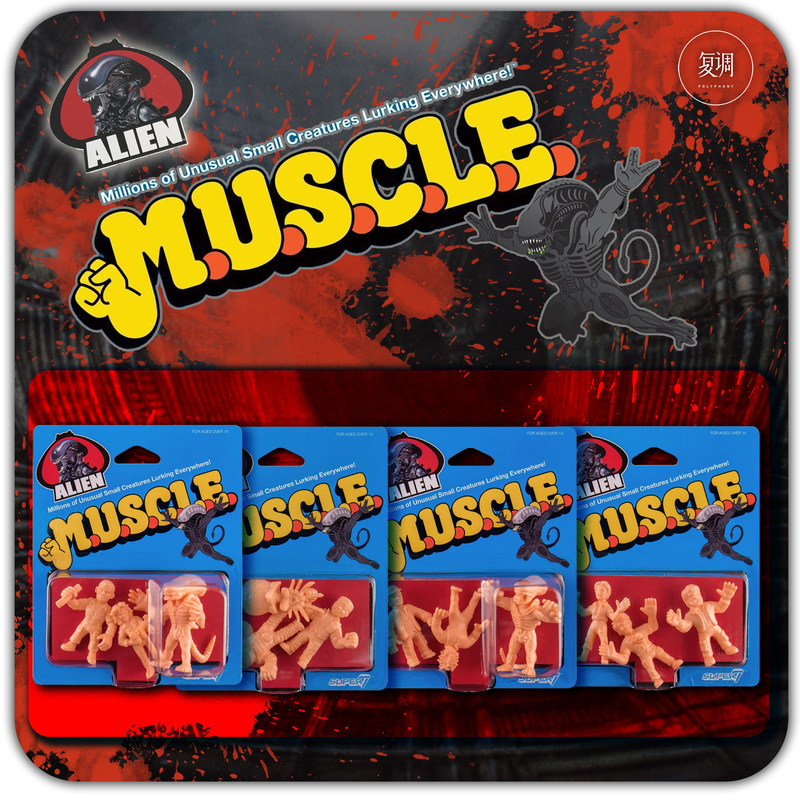 Polyphony Super7 Muscle In Sto - đánh giá và giá Vintage Toys Collector
